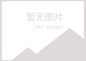 广西夏岚邮政有限公司